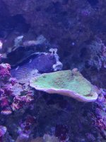 IMG_20220413_191241.jpg
