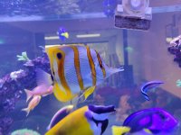 IMG_20220413_191341.jpg