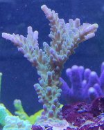 IMG_20220413_1908562.jpg