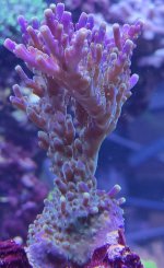 IMG_20220413_1907352.jpg