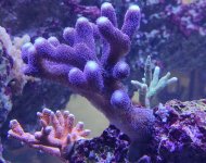 IMG_20220114_100623.jpg