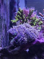 IMG_20220414_104534.jpg