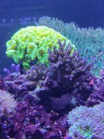 IMG_20220413_190904.jpg
