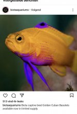 Screenshot_20220420-110148_Instagram.jpg