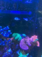 IMG_5154.jpg
