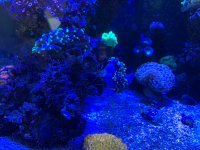 IMG_5222.jpg IMG_5222.jpg