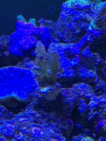 IMG_5298.jpg IMG_5298.jpg