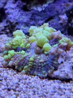 20220426_121844.jpg