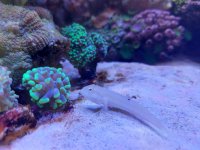 20220430_165934.jpg