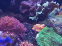 20220430_170128.jpg