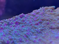 20220501_181758.jpg