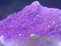 20220501_181824.jpg
