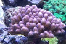 20220506_170444.jpg 20220506_170444.jpg