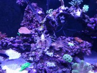 20220508_221636.jpg