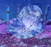 1652631412534.png
