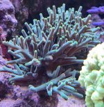 20220601_154748.jpg 20220601_154748.jpg