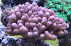 20220601_154215.jpg 20220601_154215.jpg