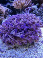 20220601_154139.jpg 20220601_154139.jpg