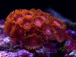 10_12_2004 0005.jpg