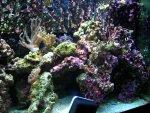 DSCN9294.jpg