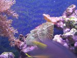 Foto's-0010.jpg