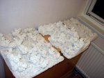 afbeelding8987911hm9[1].jpg