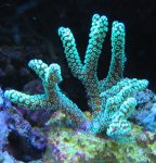 200107 011.jpg