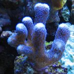 210107 013.jpg
