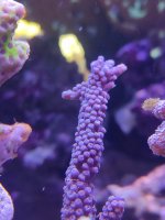 IMG_20220624_125212.jpg