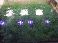IMG_20220618_091634.jpg