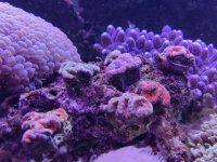 IMG_20220624_123949.jpg