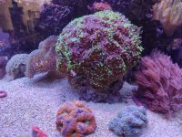 IMG_20220624_124008.jpg
