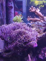 IMG_20220624_123835.jpg