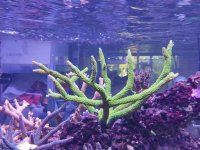 IMG_20220624_123843.jpg