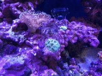 20220827_174612.jpg
