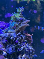 IMG_5670.jpg