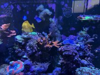 IMG_5735.jpg IMG_5735.jpg