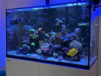IMG_5723.jpg IMG_5723.jpg