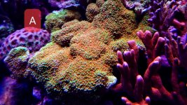 20220905_151525.jpg