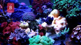 20220905_151611.jpg