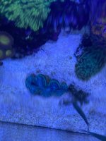 C01732C8-186F-4719-B68F-2F132B0E0F54.jpeg