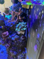 IMG_5799.jpg IMG_5799.jpg