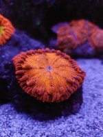 20220914_205842.jpg
