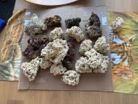 WhatsApp Image 2022-09-18 at 8.22.26 AM.jpeg