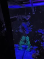 20220925_223123.jpg