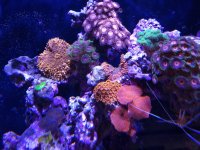 20220925_174350.jpg