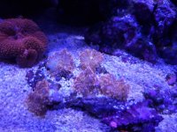 20221016_201017.jpg