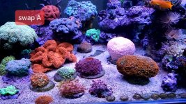20221021_201754.jpg 20221021_201754.jpg