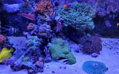 20221029_084552.jpg