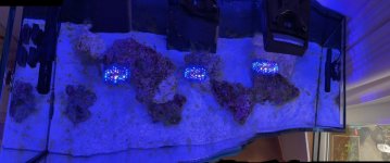 WhatsApp Image 2022-11-05 at 2.37.12 PM.jpeg